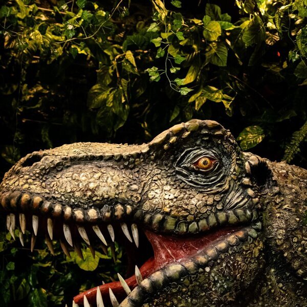 Dino-expo Kasteel De Keverberg