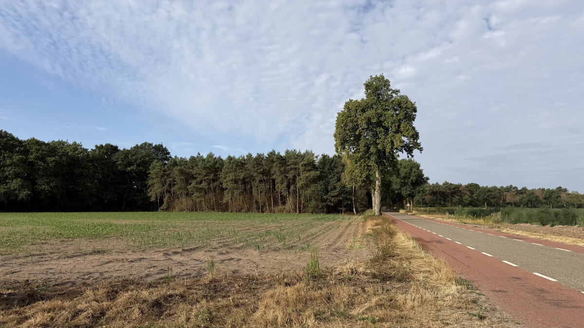 Bosbrand Baarlo