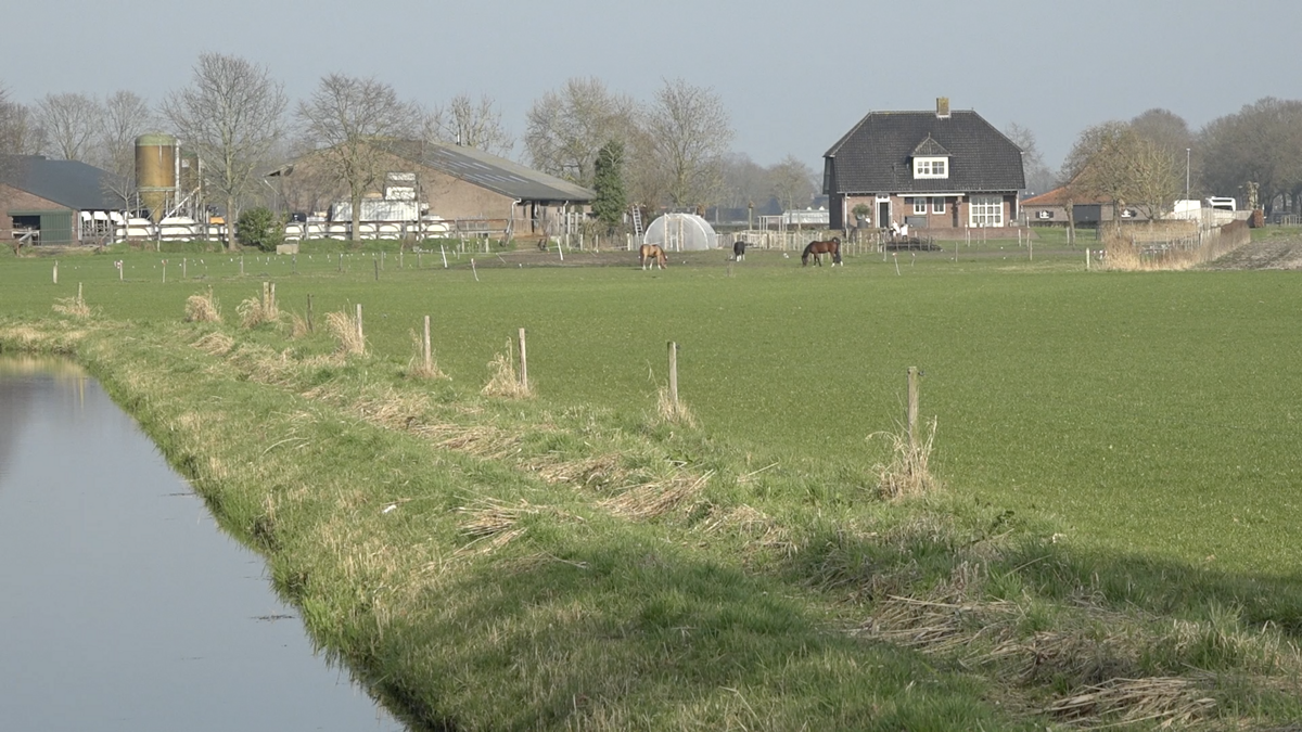 Groote Peel Meijel.png