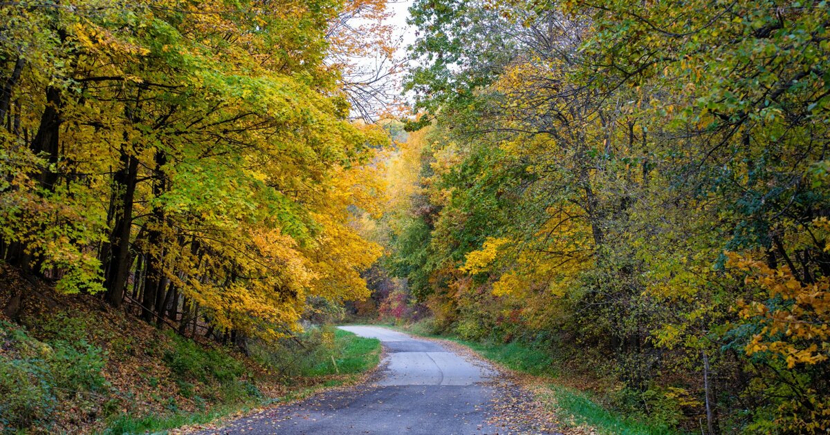 Gemeente Beesel doet mee met Nationaal Park De Meinweg-Maasterrassen