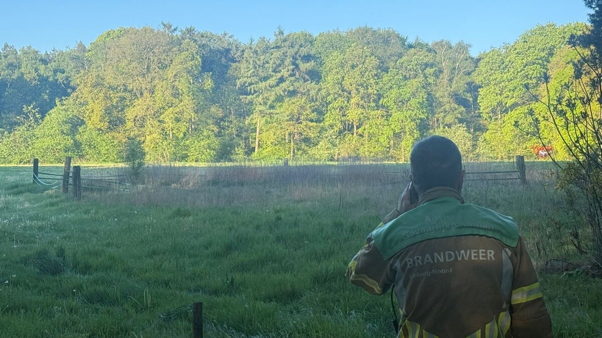 brand heldense bossen2