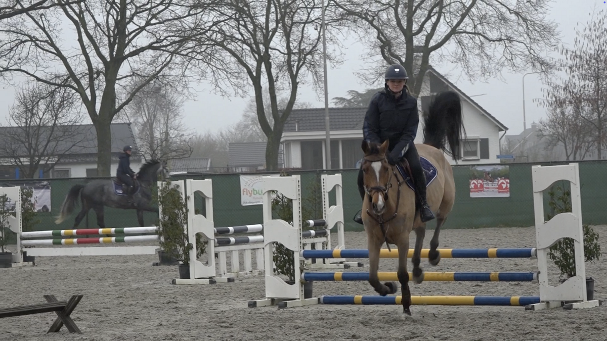 Paardenbedrijf Panningen.png