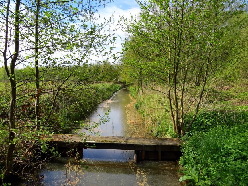 Dubbroek springbeek_Piet Fleuren