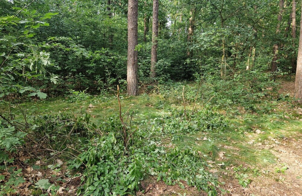 image00005