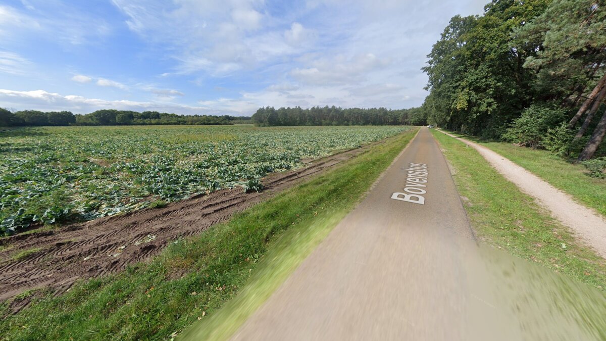 Bovensbos
