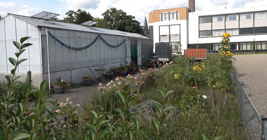 Gemeente wil toch drie woningen op plek voormalige tuinderskas in Panningen