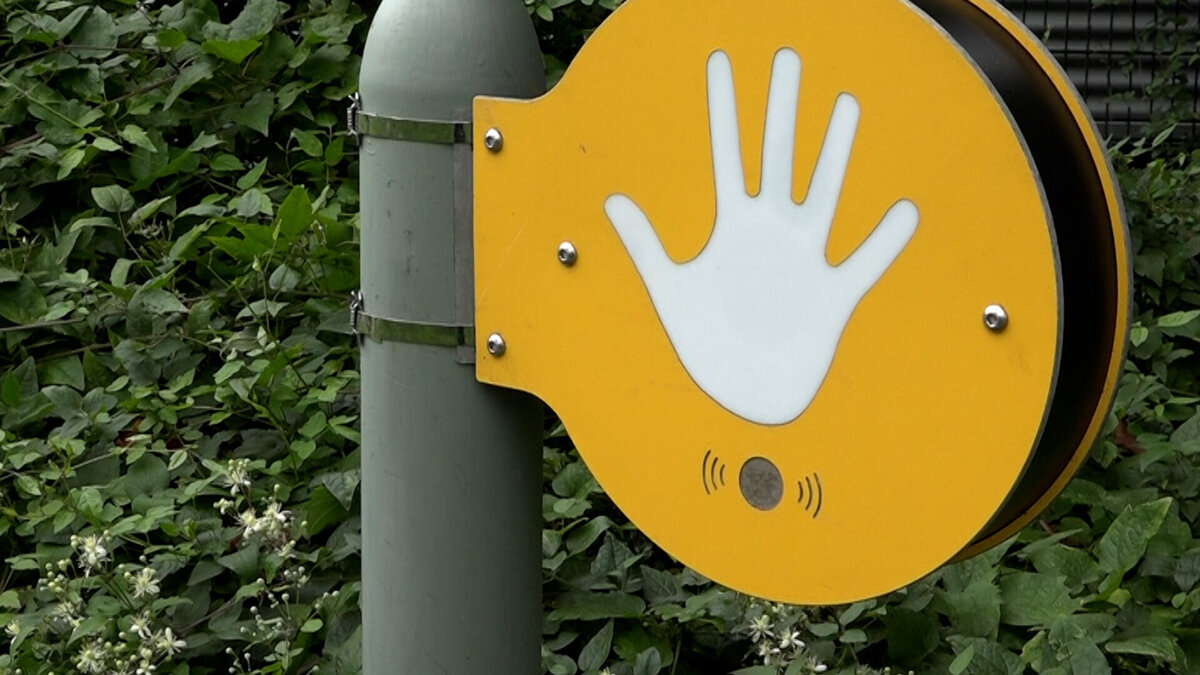 High Five project