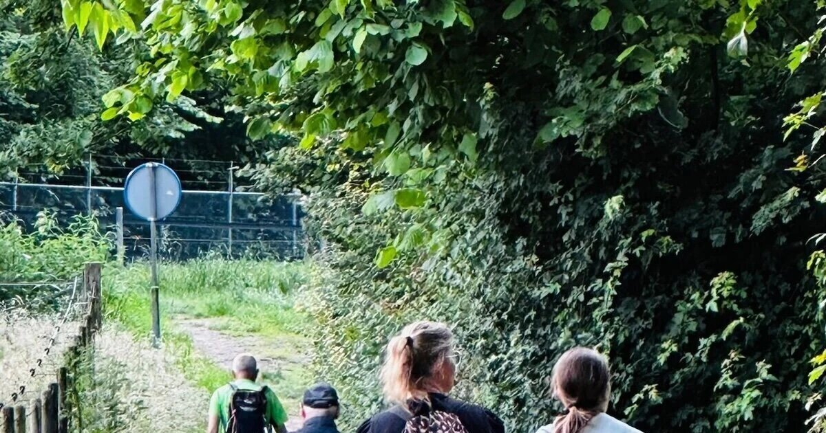 Beeselse Wandelvierdaagse goed verlopen