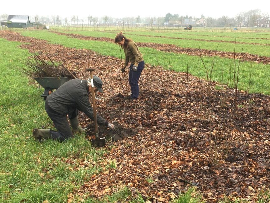 27-10IVNMeer bomen