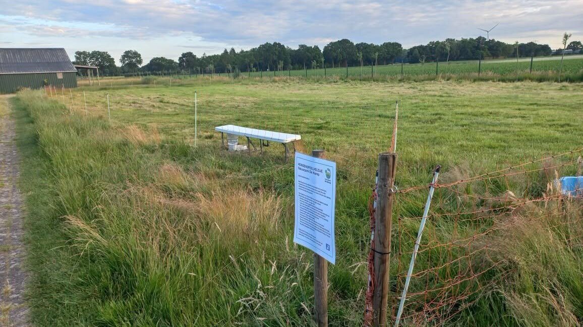 hondenspeelveld
