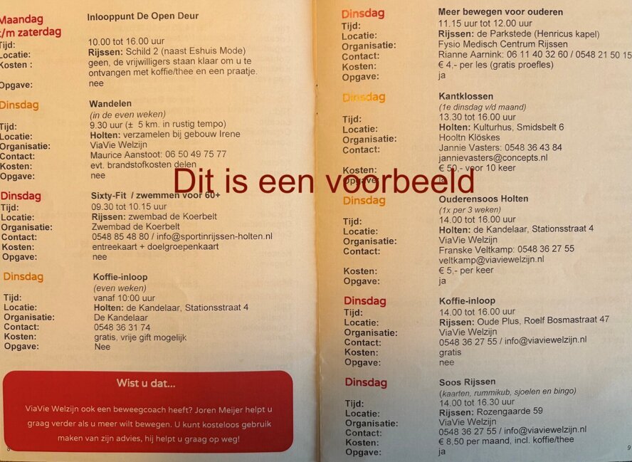 activitetenvoorbeeld