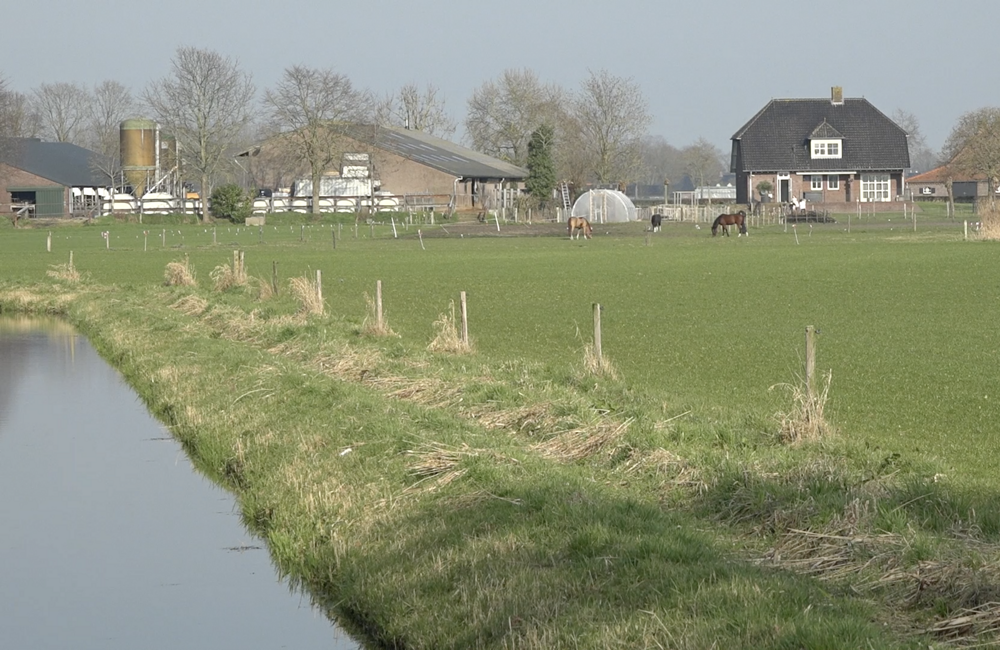 Groote Peel Meijel.png