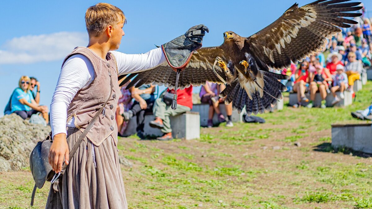 Roofvogelshow