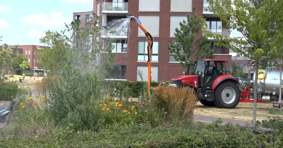 Peel en Maas strijdt tegen droogte: honderden bomen en plantsoenen krijgen extra water