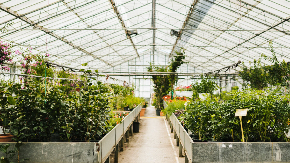 Glastuinbouw stock.jpg