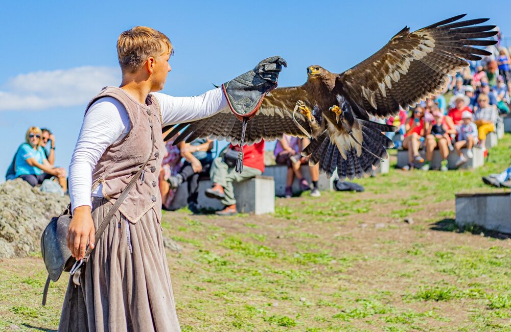 Roofvogelshow