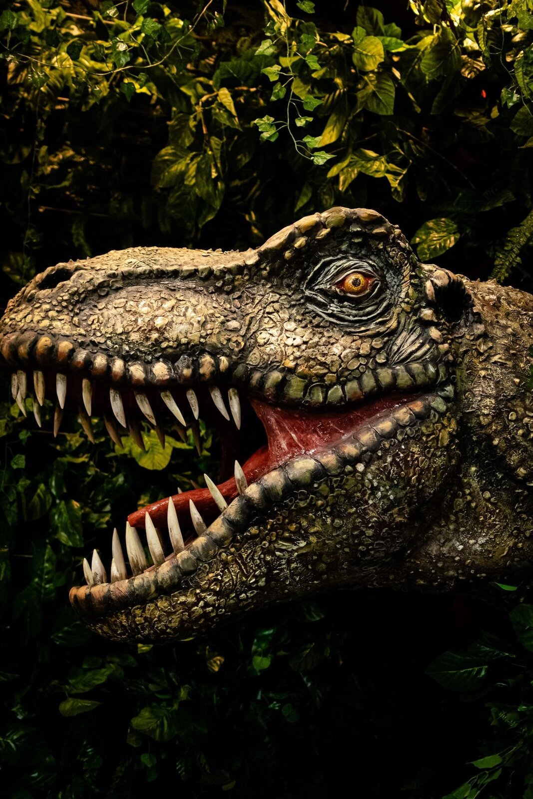 Dino-expo Kasteel De Keverberg