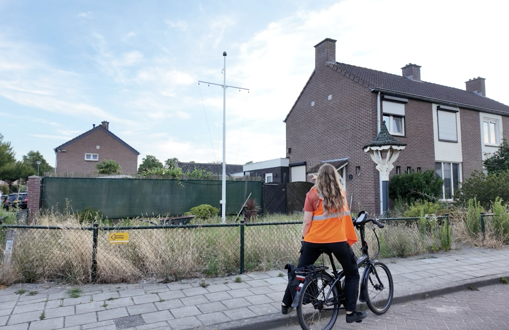 Zwaluw Myrthe