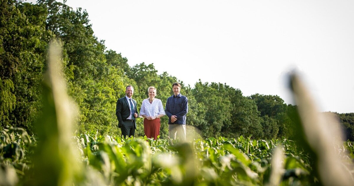 Nieuwe locatie Draaksteken bekend: “Herinneringen maken voor nieuwe generatie”