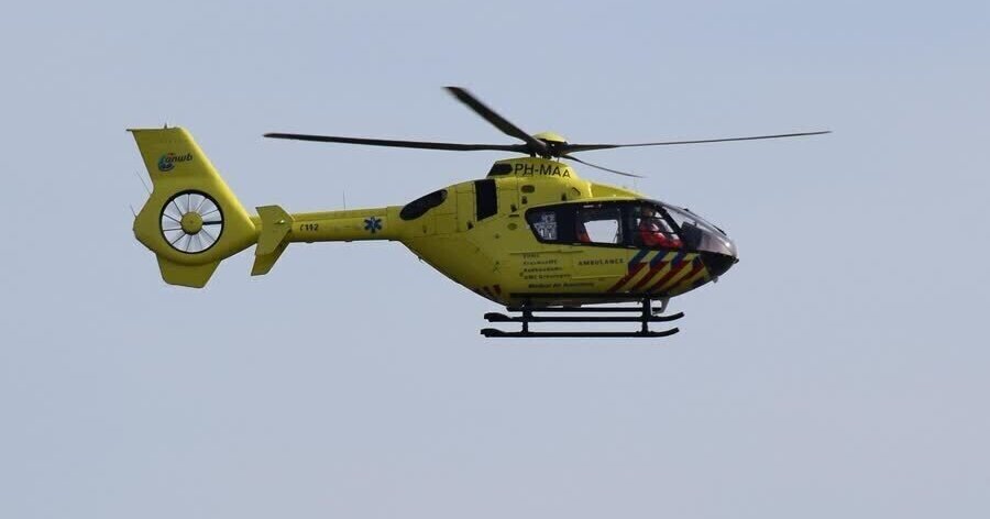 Vrouw gewond na val van paard in Meijels bosgebied, traumahelikopter opgeroepen