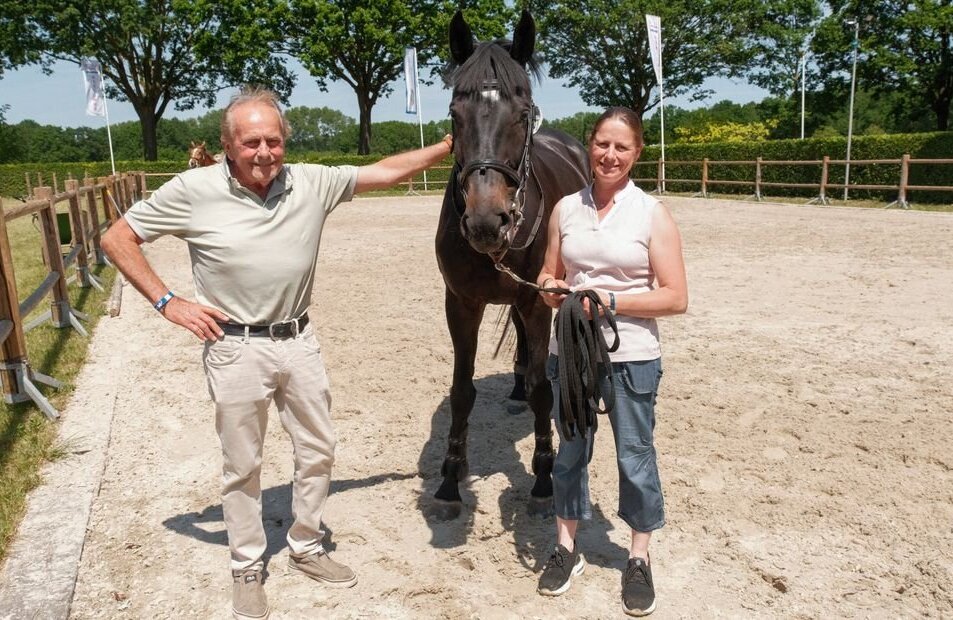 paard kessel.jpg