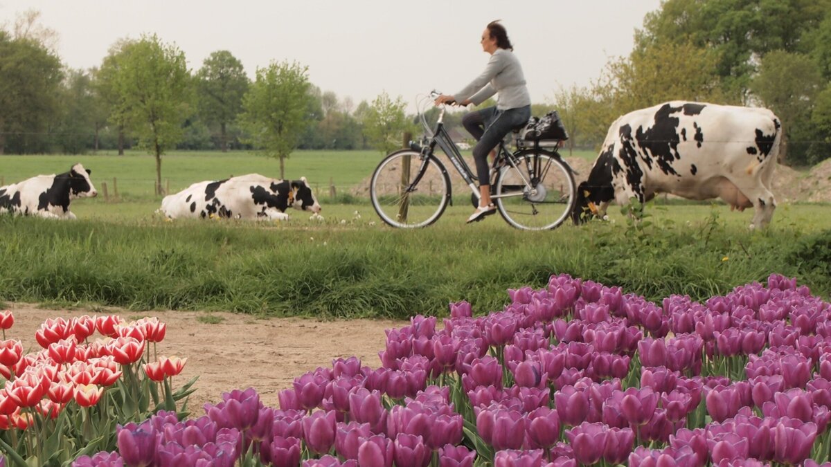 Loeren fietser_edited.jpg