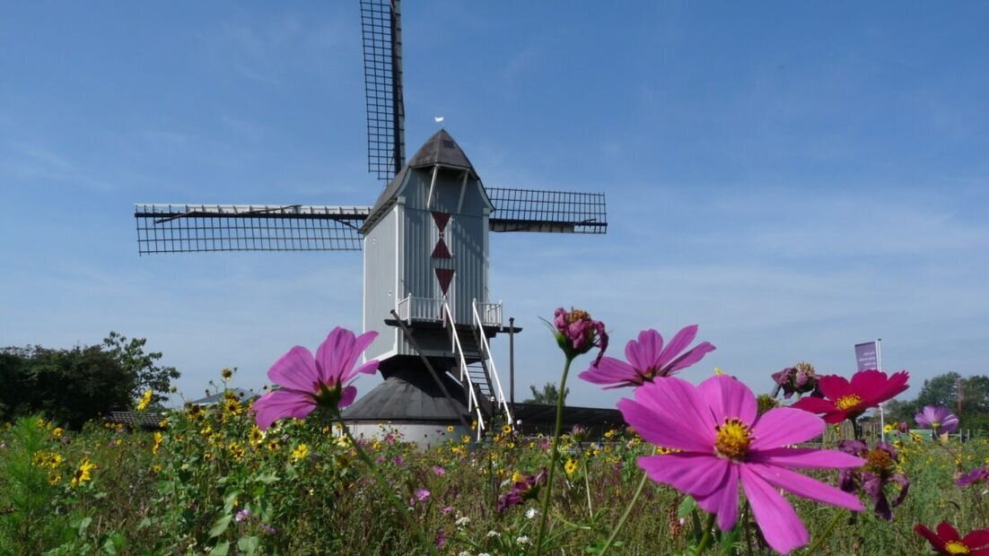 molen kessel ger.jpg