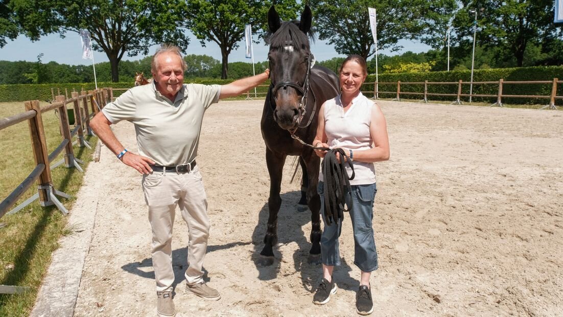 paard kessel.jpg