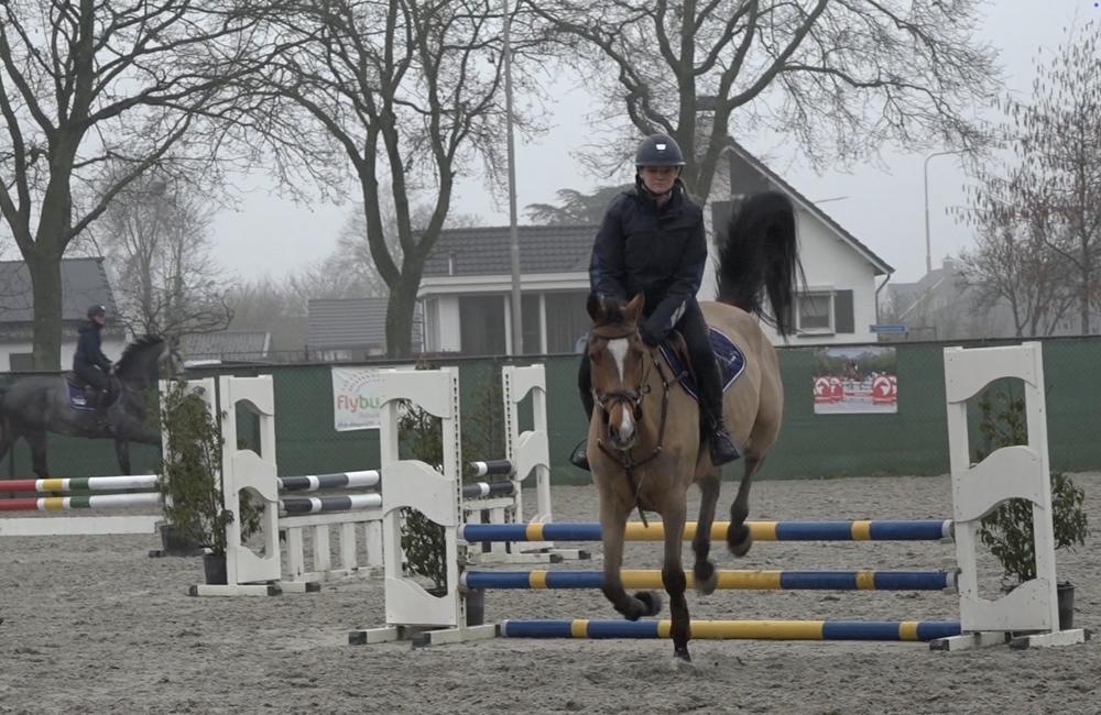 Paardenbedrijf Panningen.png