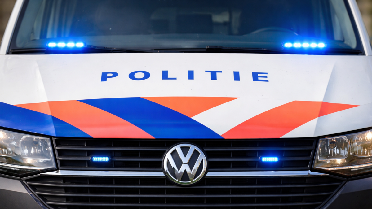 Politie ai