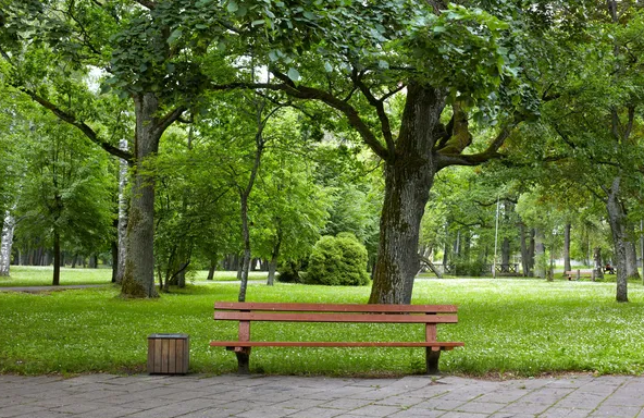 Schermafbeelding 2026-03-26 091654.png