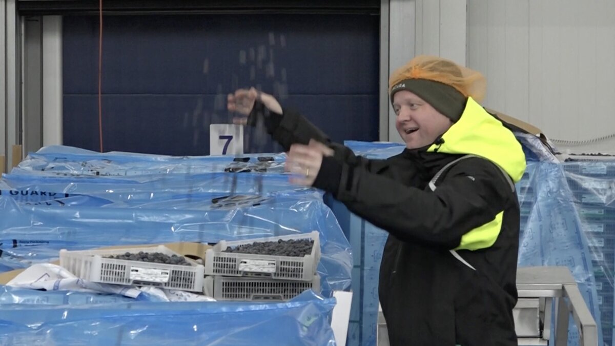 Robbert Leisink fruit.jpg