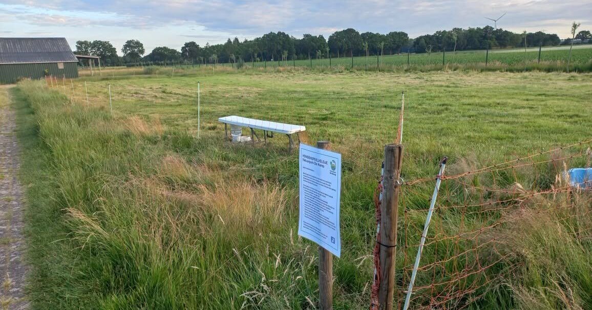 Nieuw hondenspeelveld in Egchel opent deuren voor viervoeters en hun baasjes