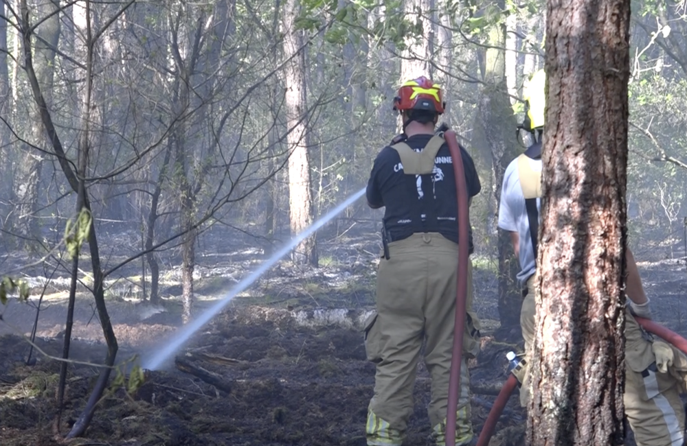 Bosbrand Lanterdweg