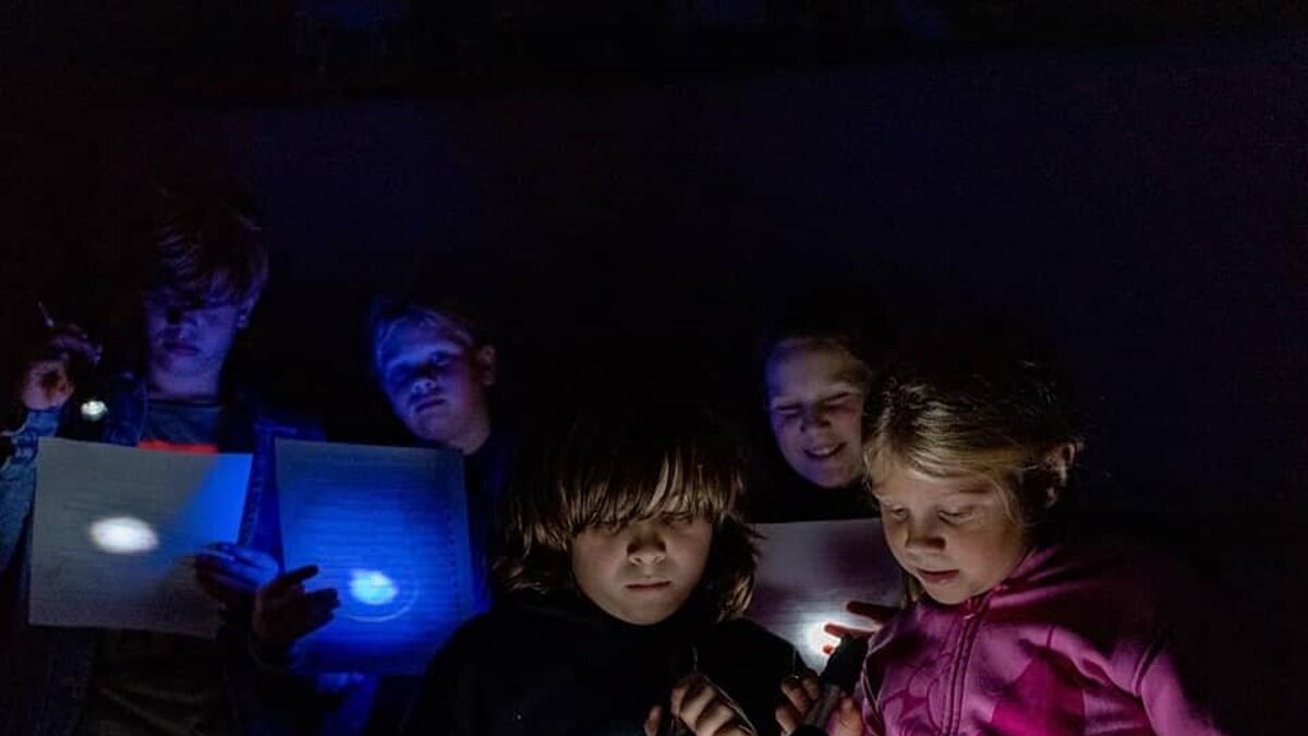 MuseumDonker