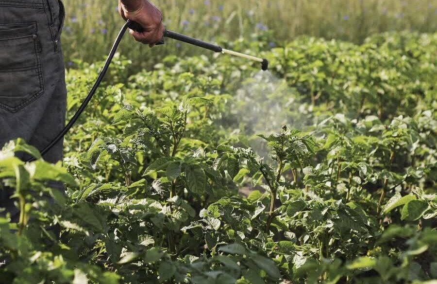 Spuitzone bestrijdingsmiddelen stock.jpg