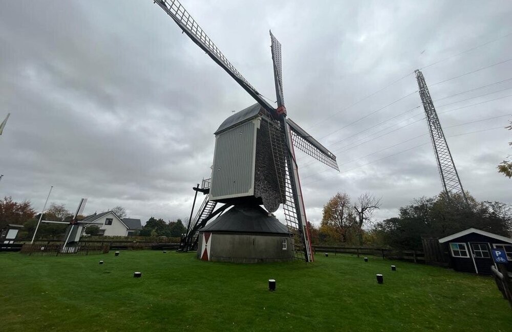 molen.jpg