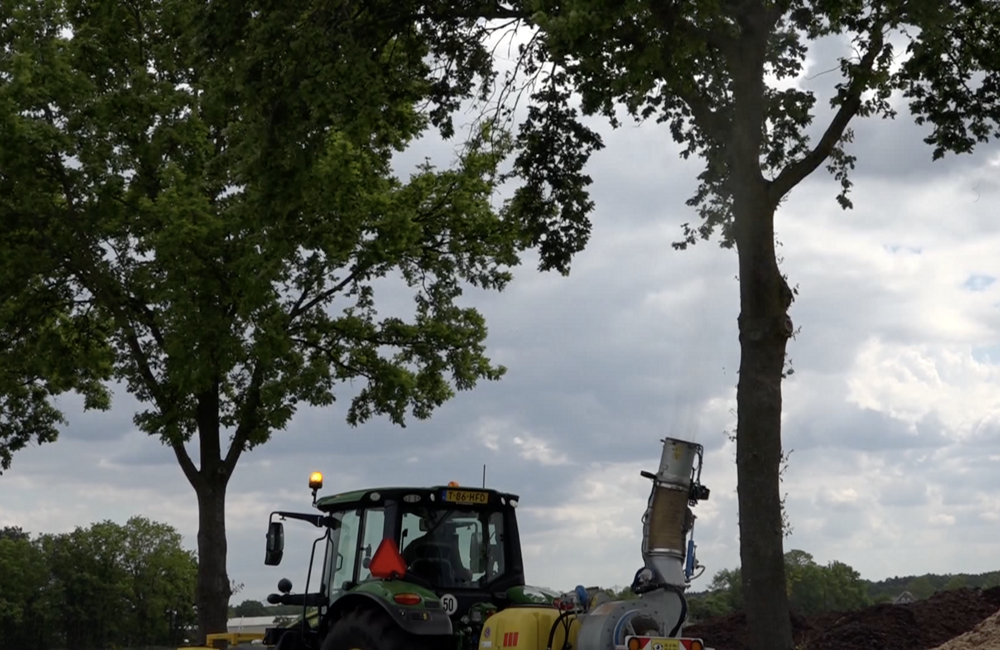 Eikenprocessierups bestrijding.png