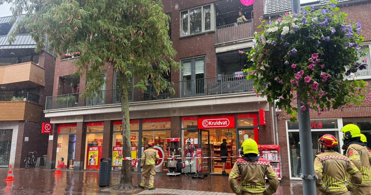 Brandweer verwijdert losse tak uit boom op Markt in Panningen