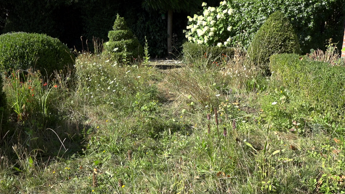 tuin ves 3