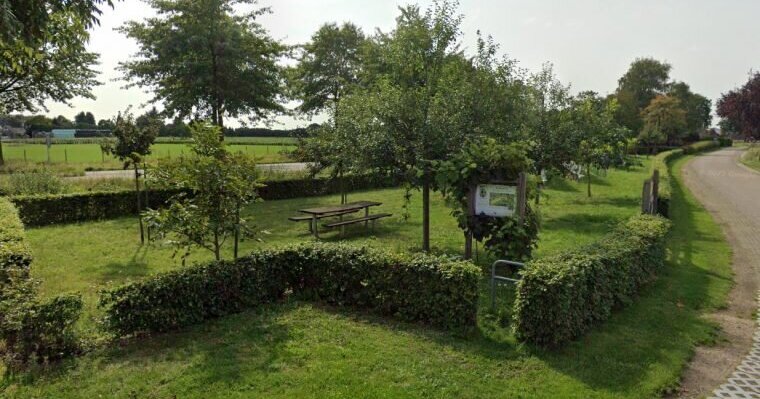 Gemeente koopt grond wijngaard in Helden