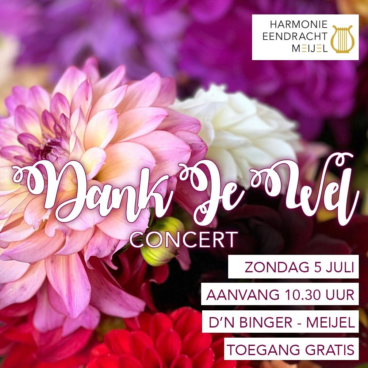 5-7MeijelDankJeWelConcert