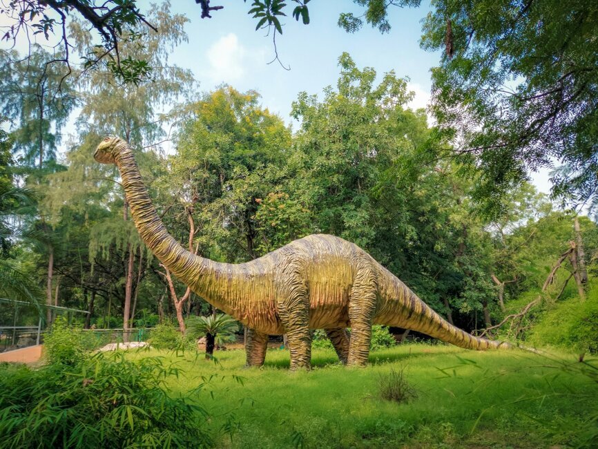 Dinosaurus-unsplash
