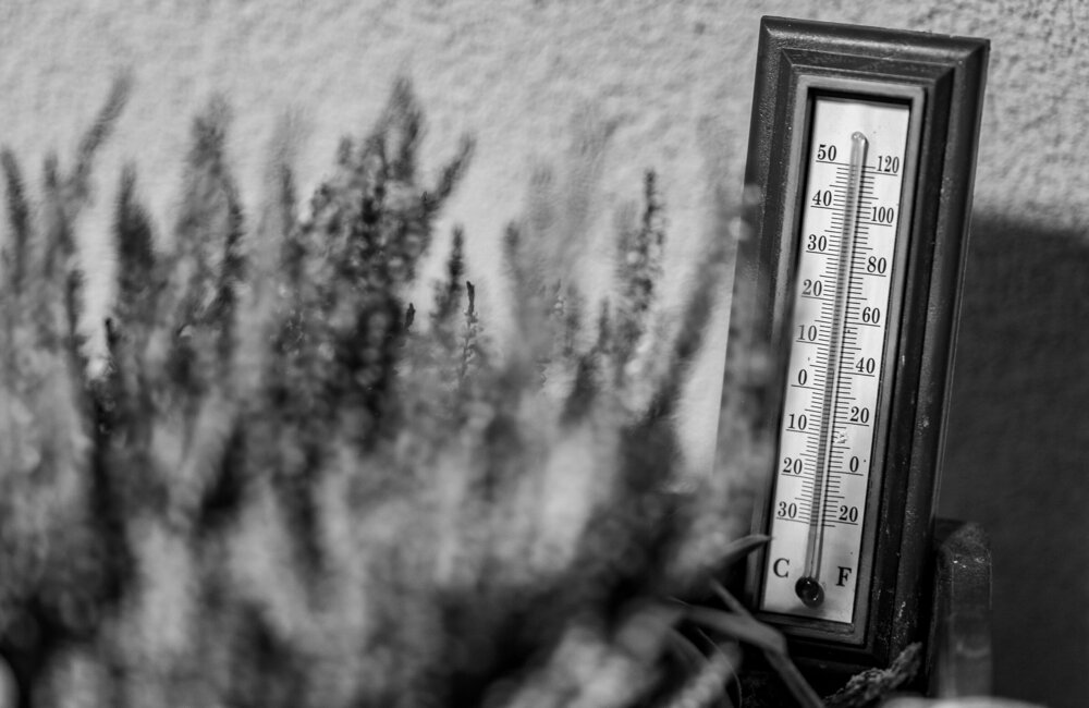 pexels-vladimirsrajber-34820818