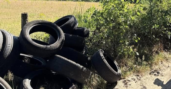 Illegale dumping met tientallen autobanden en vaten ontdekt in buitengebied Kessel