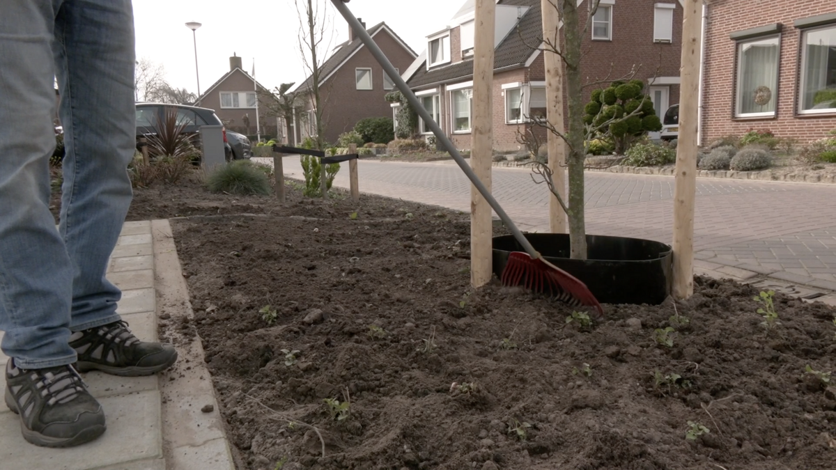 Arnoudstraat Maasbree.png