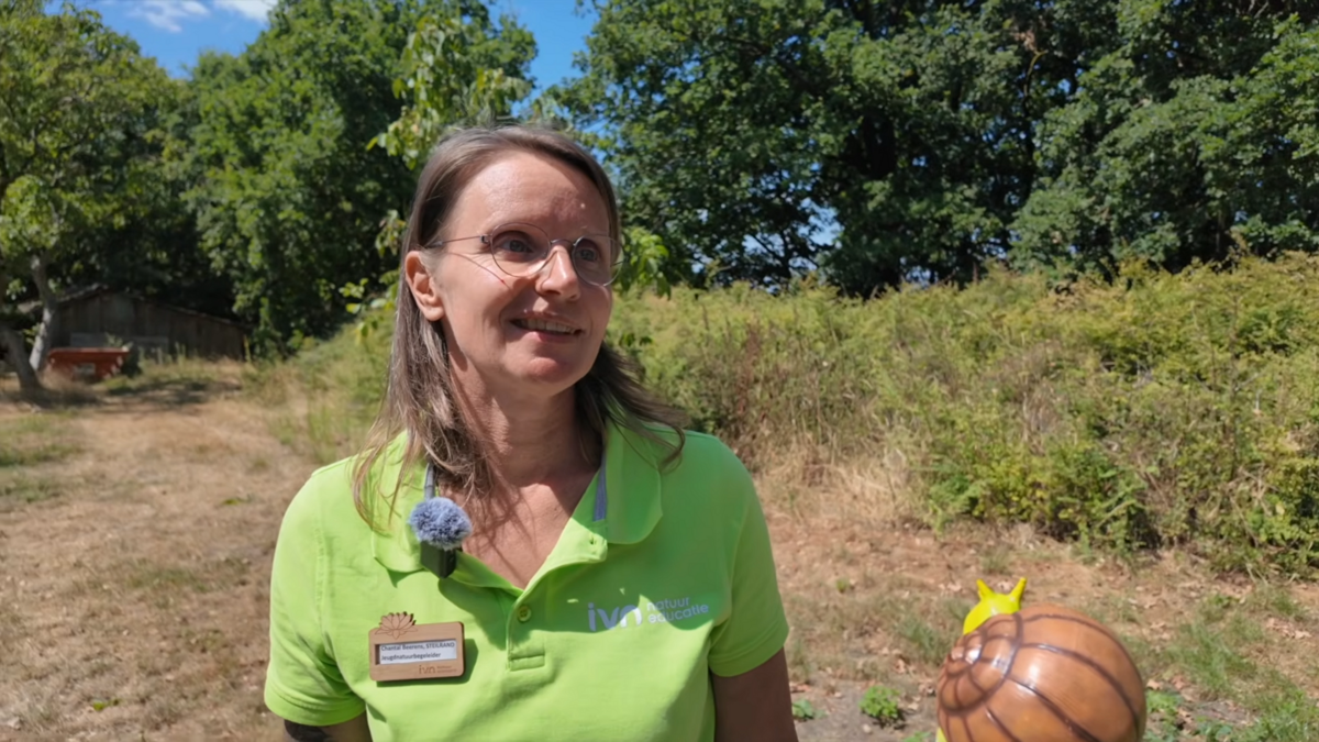 Boetegewoeën natuur in Reuver