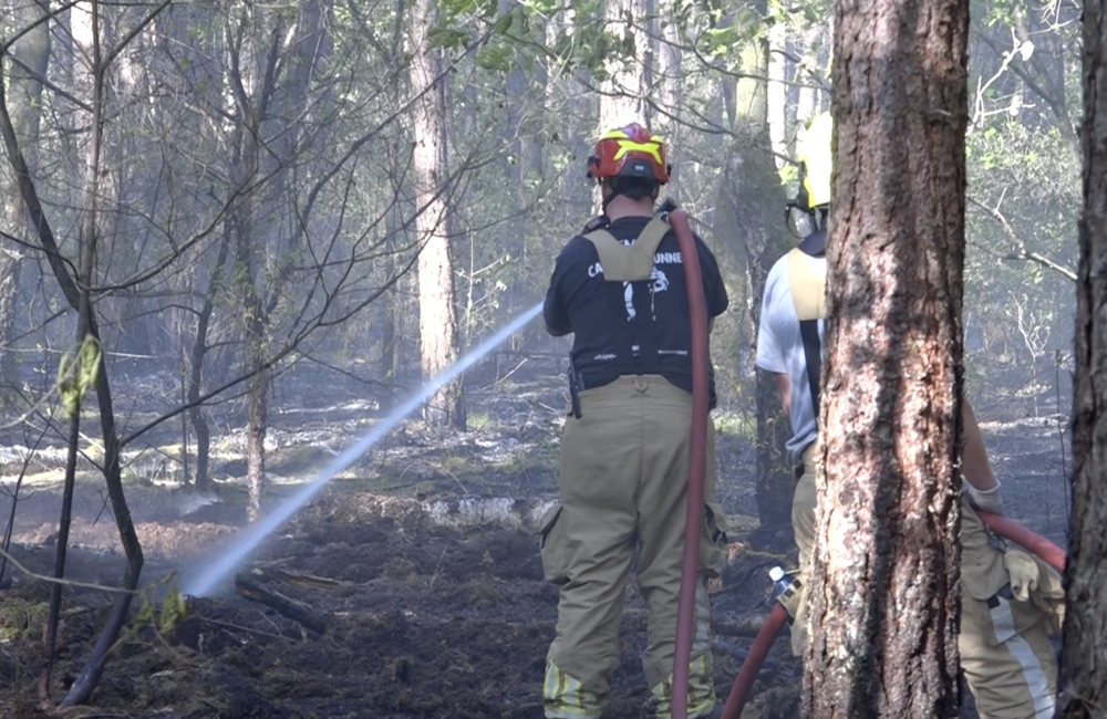 Bosbrand Lanterdweg.png