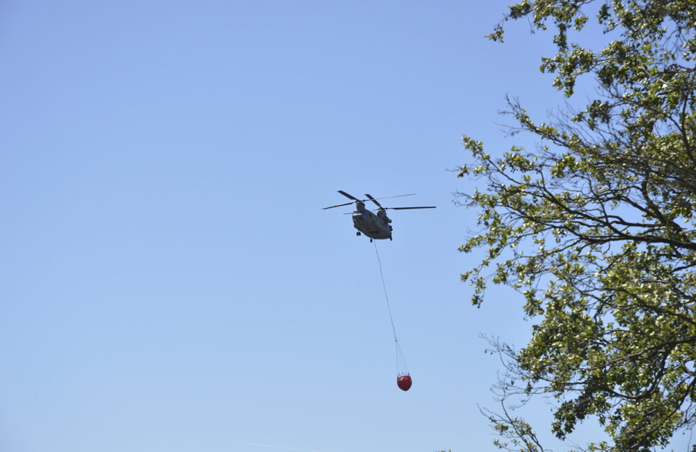 blus chinook