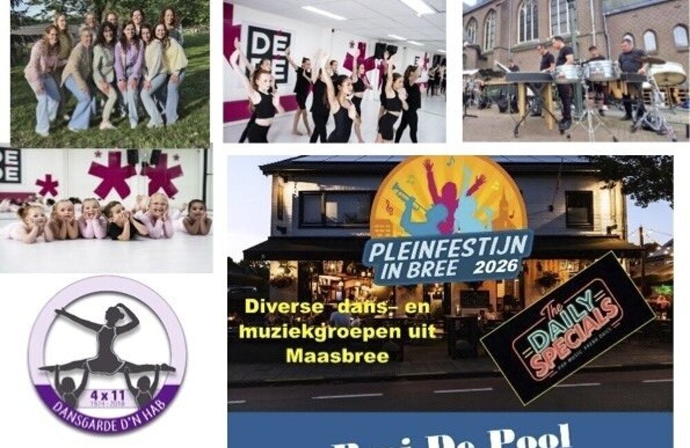 Deelnemers Pleinfestijn2026.jpg